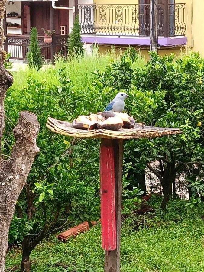 Bird House - Apartament Jardin Exterior photo