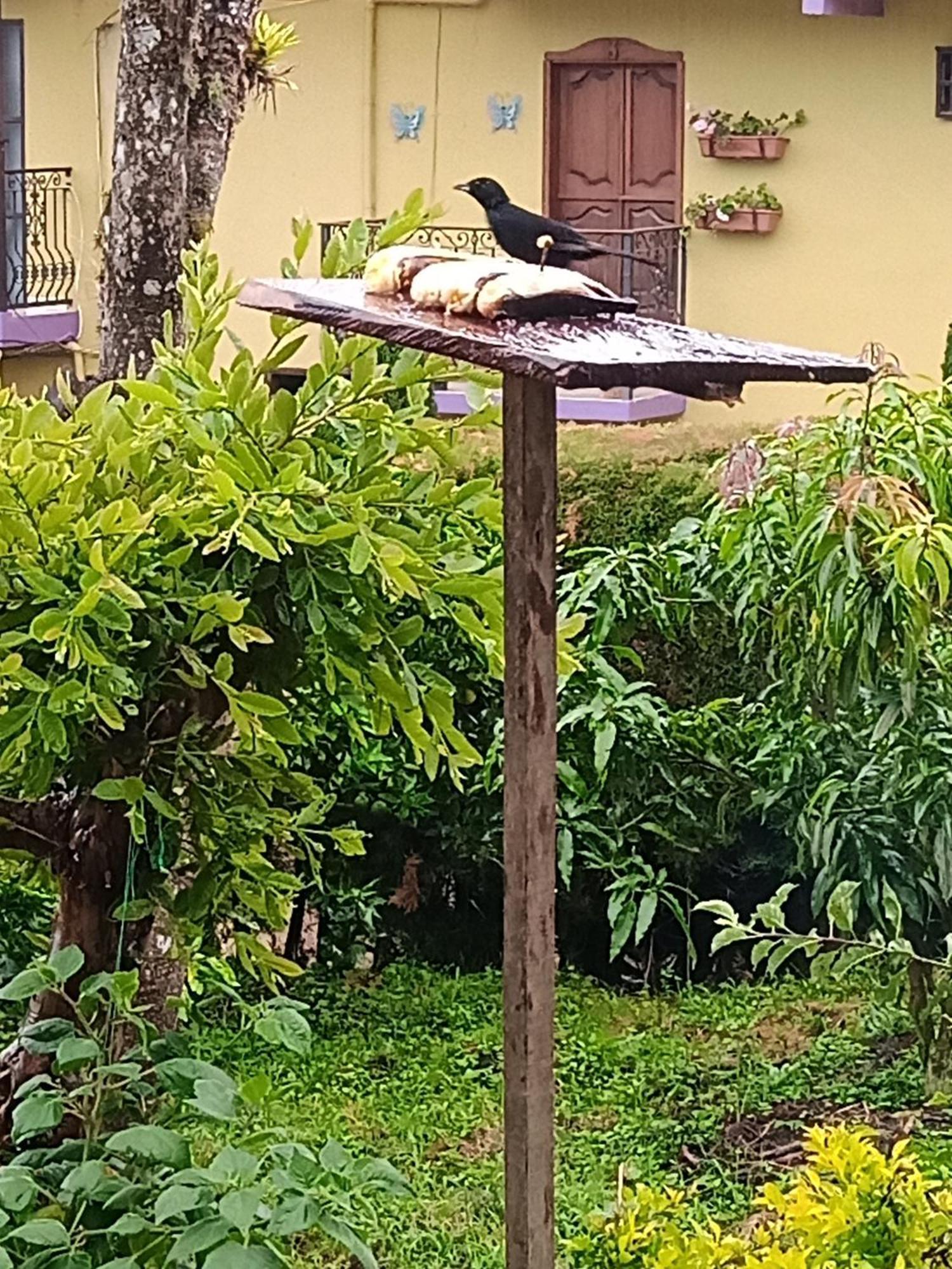 Bird House - Apartament Jardin Exterior photo