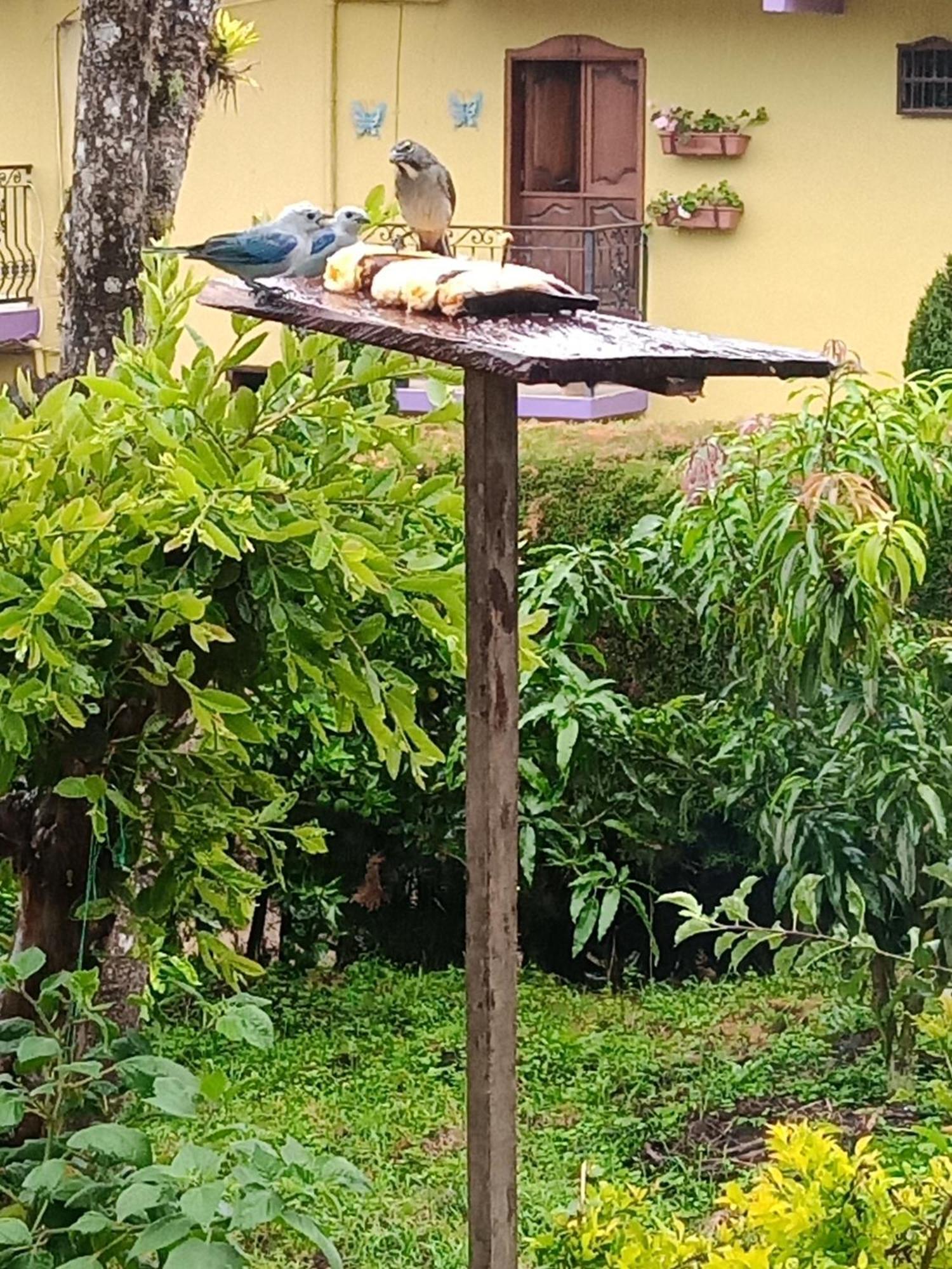 Bird House - Apartament Jardin Exterior photo
