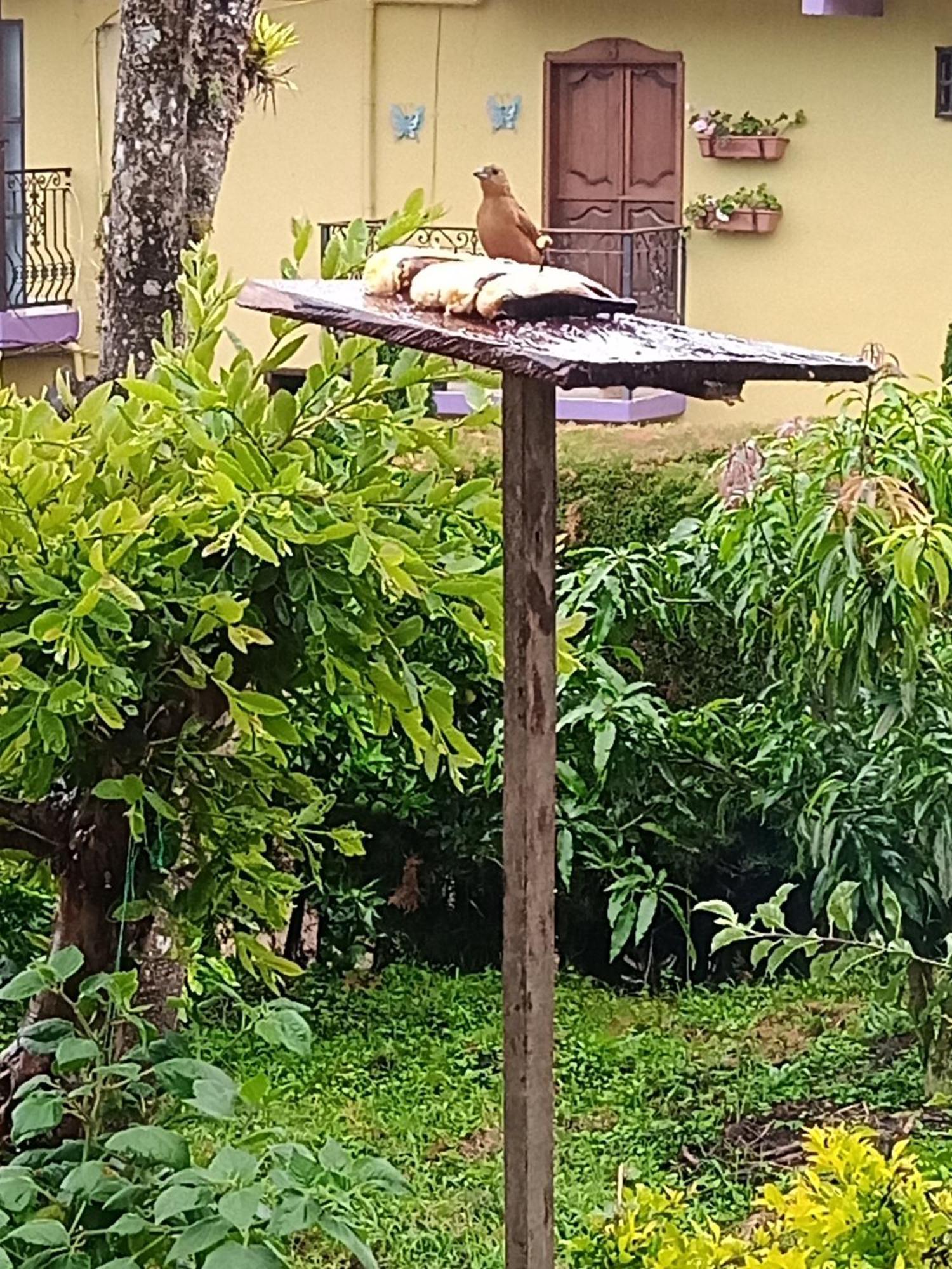 Bird House - Apartament Jardin Exterior photo